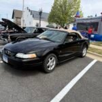 img 7079